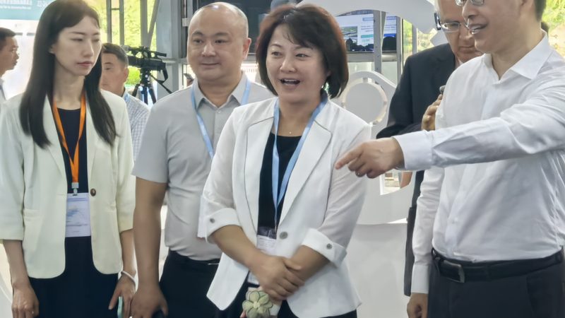 汽车大灯解码器：揭秘其代理加盟背后的行业逻辑